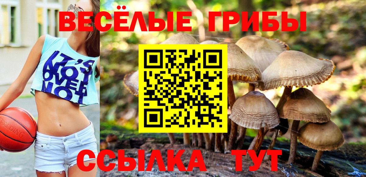 Галлюциногенные грибы мухоморы Вышний Волочёк